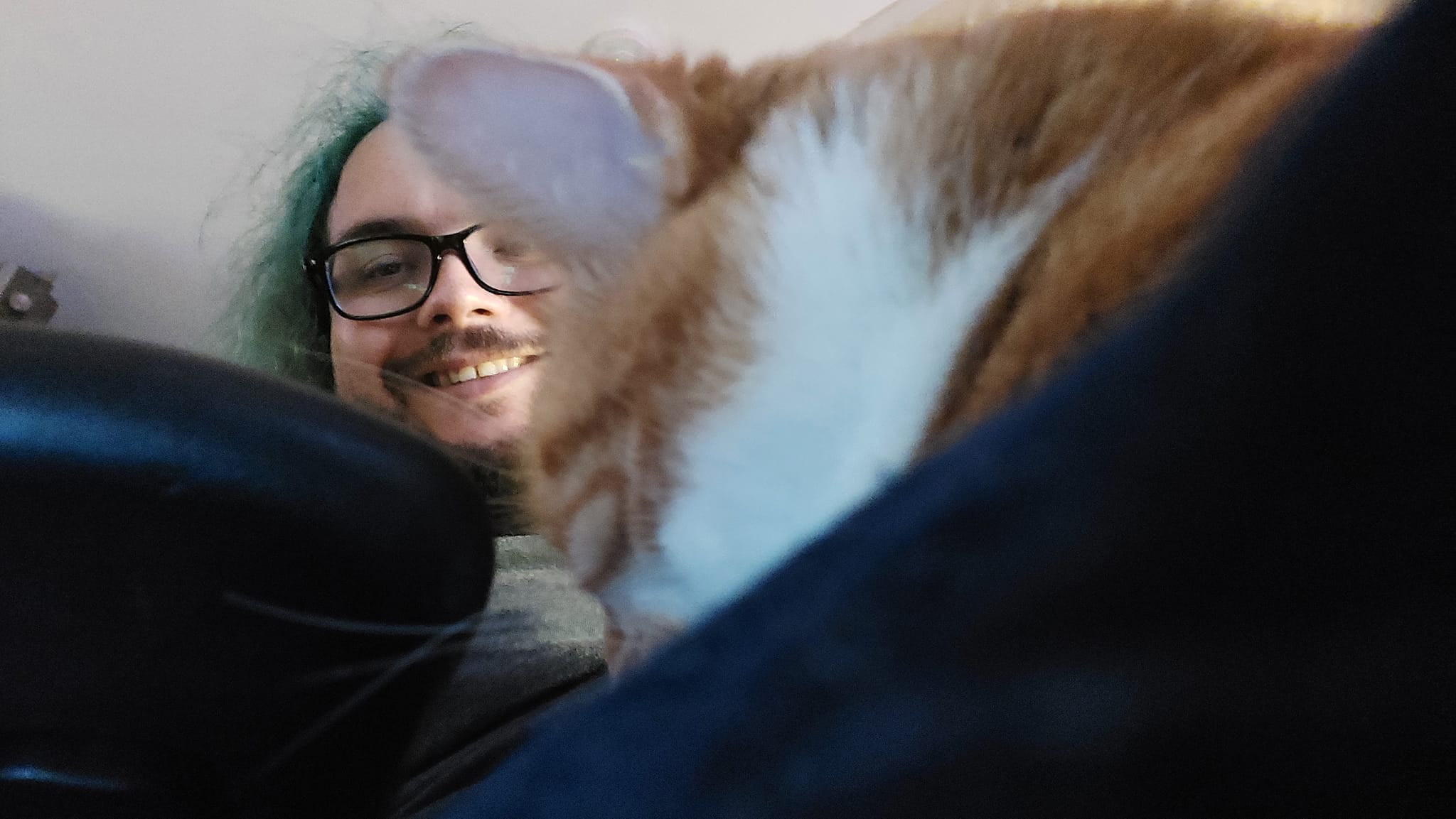 An orange cat sleeps contentedly on a lap, Photo 1